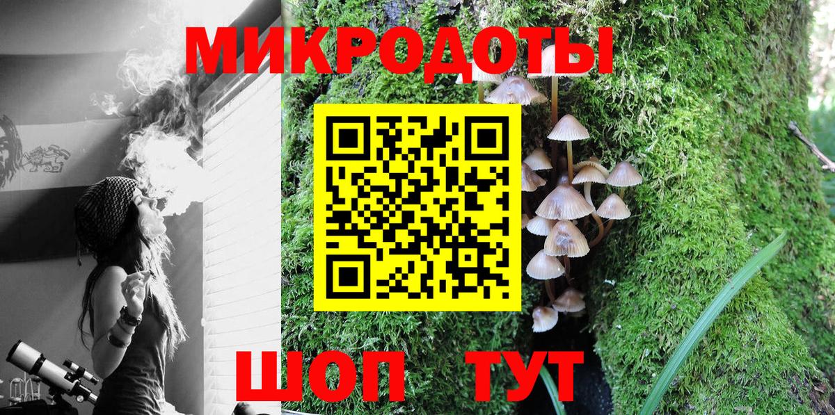 Галлюциногенные грибы мицелий Славгород